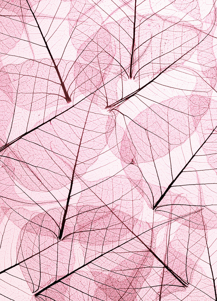Ljuddämpande tavla - Leafs