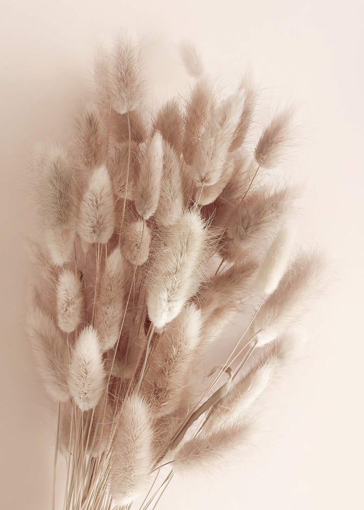 Canvastavla - Soft Pampas No1 (80x120)