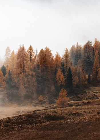 Ljuddämpande tavla  - Hazy Mountains