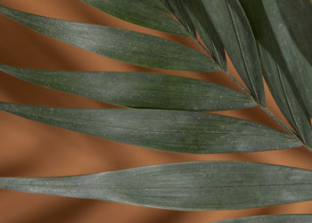Ljuddämpande tavla - Palm Shadows