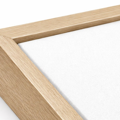 Frame
